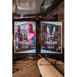 marvel-spiderman2-rose-w800px